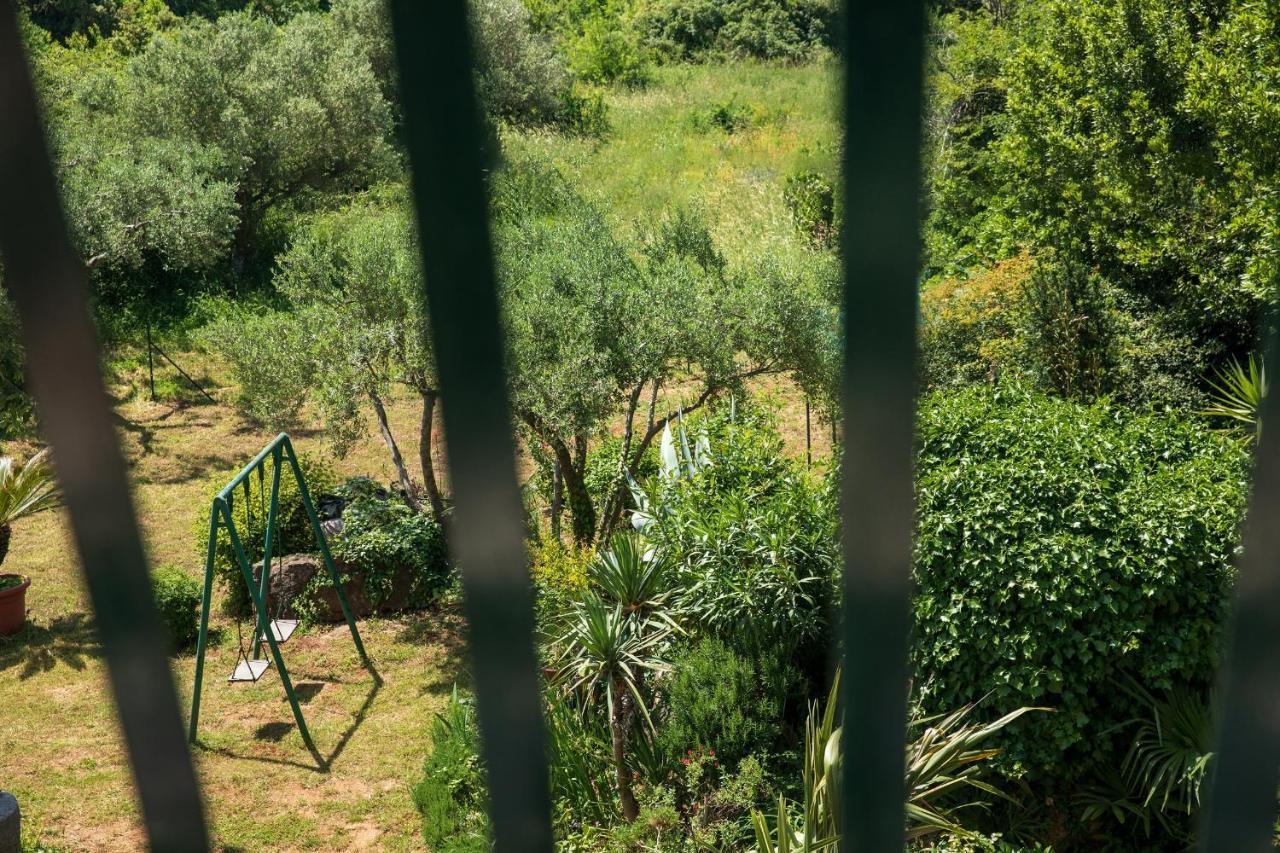 Villa Mareonda - Apartments Sussurro Rovigno Esterno foto