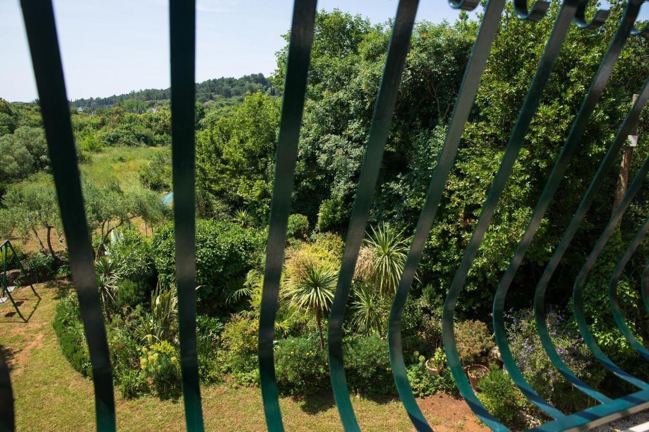Villa Mareonda - Apartments Sussurro Rovigno Esterno foto